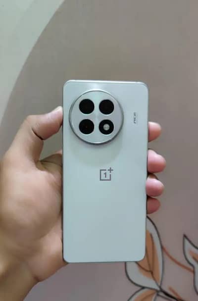 One Plus 13R