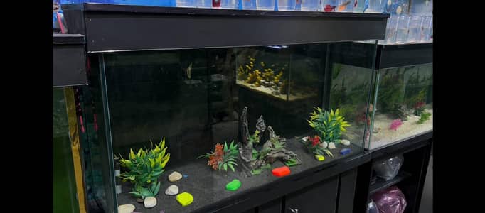 low price fish aquarium