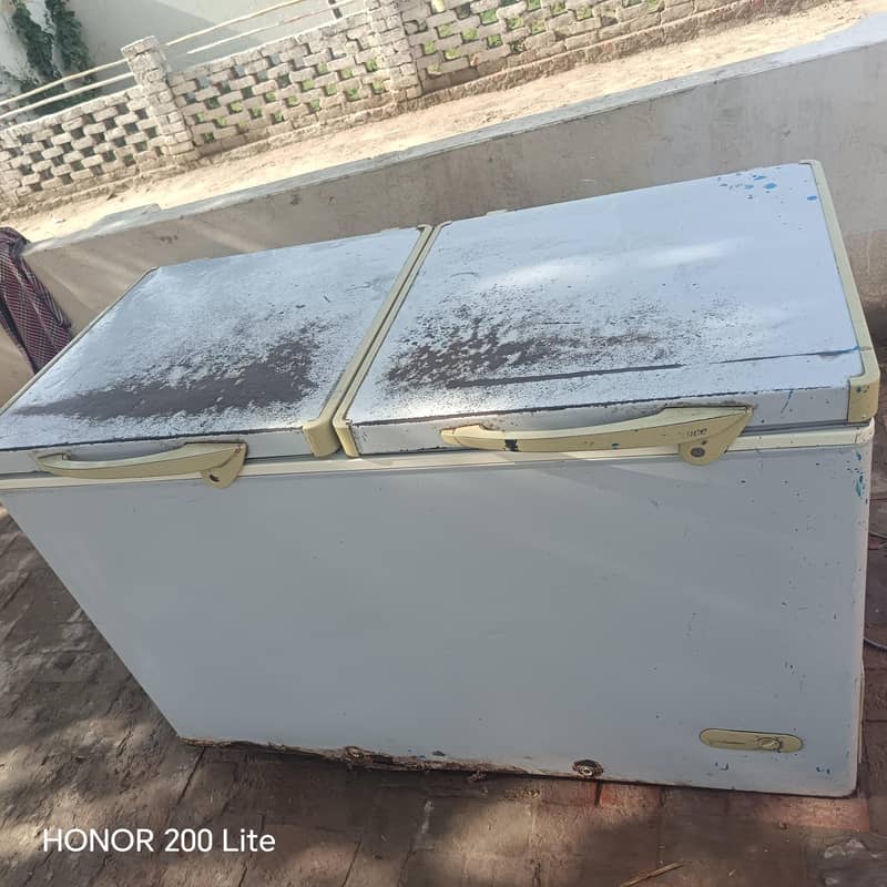 ڈی فریزر ڈولنس کمپنی 1