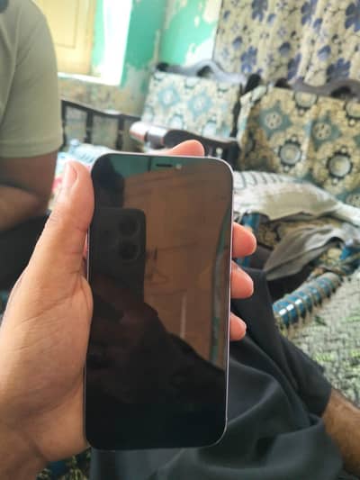Apple iPhone 12