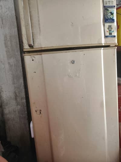 waves fridge