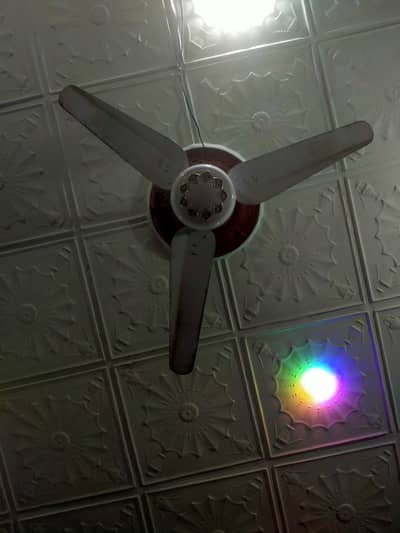 New fan