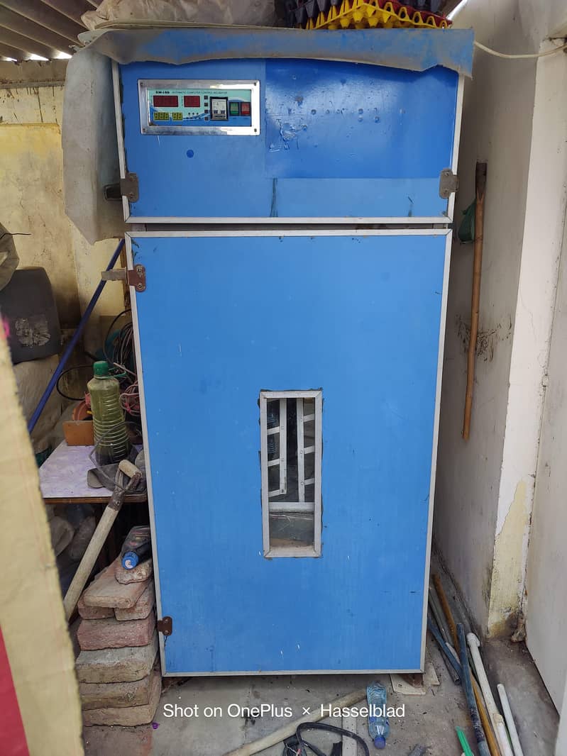Incubator 6