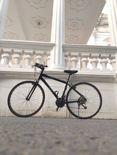 Trek bicycle