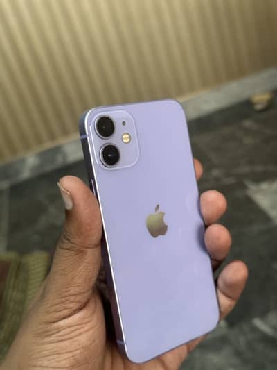Apple iPhone 12 mini Water Pack