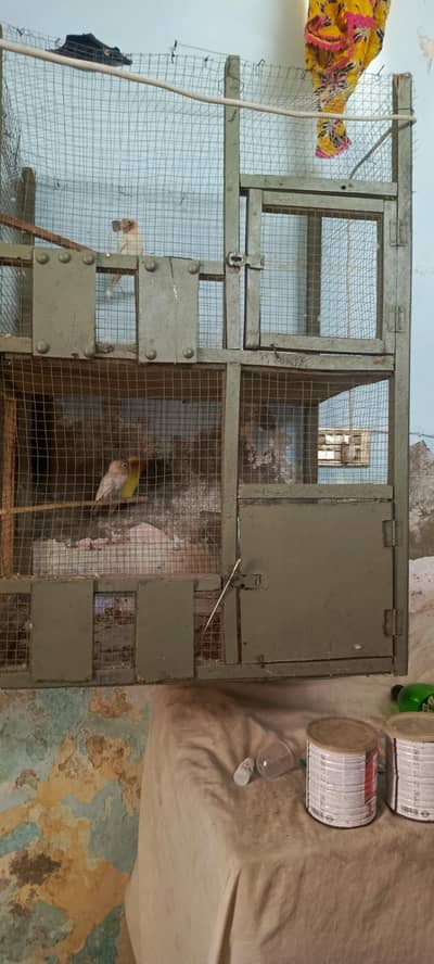 Cages