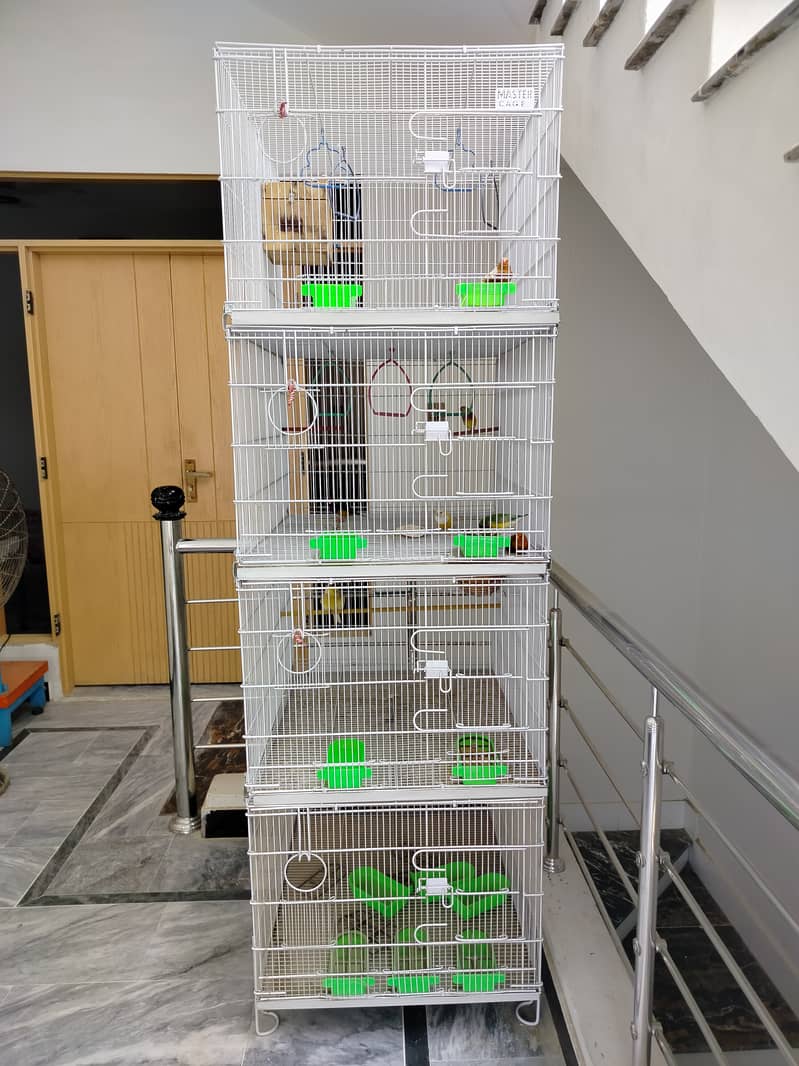 Cages 0