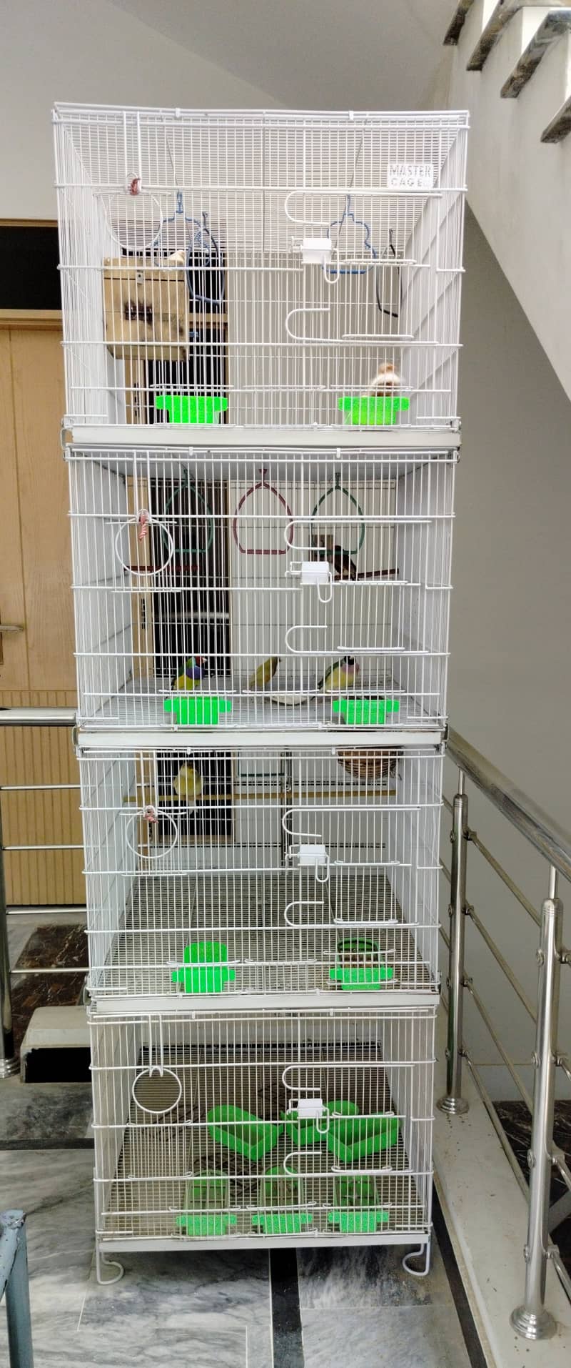Cages 1