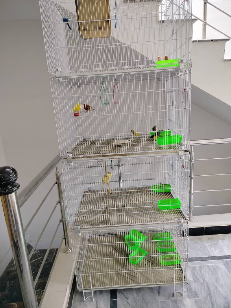 Cages 4