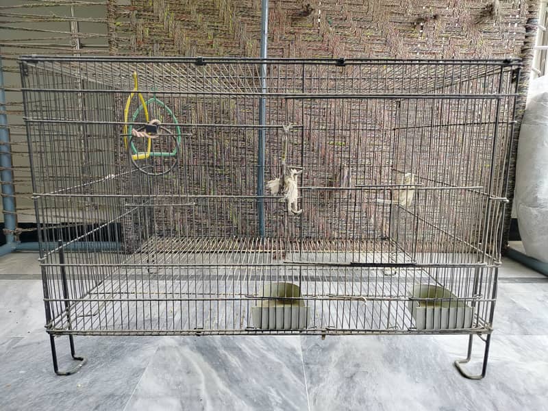Cages 8