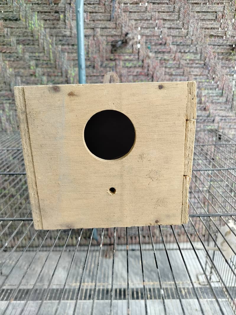 Cages 9