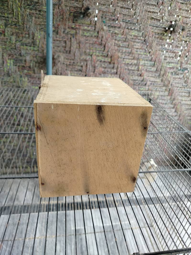 Cages 10
