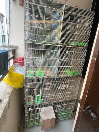 Cage and Boxes