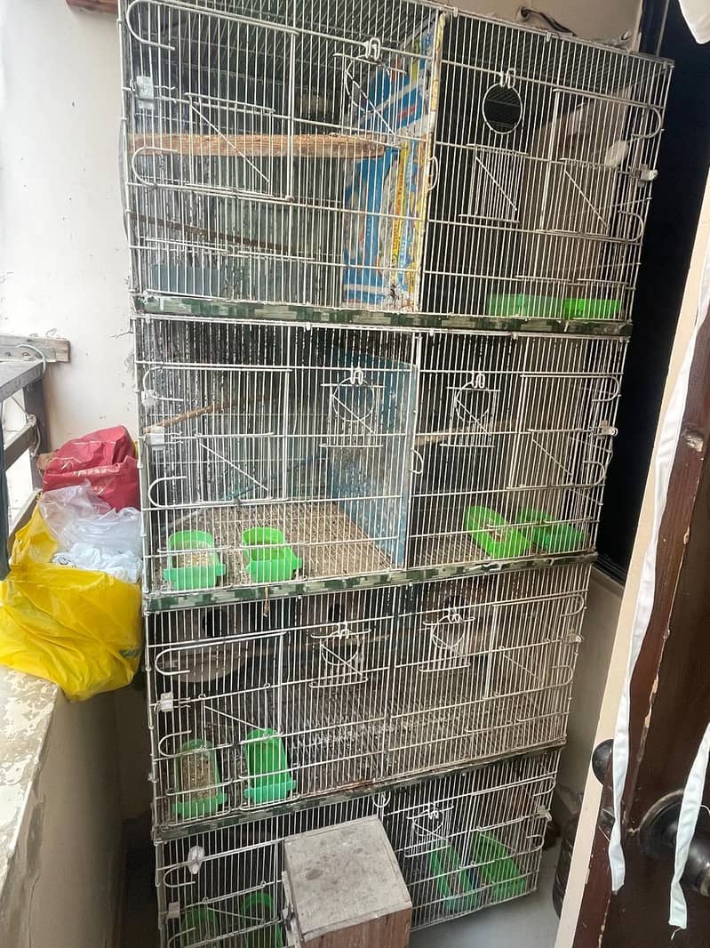 Cage and Boxes 1