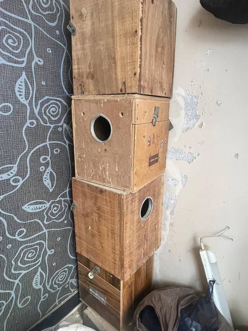 Cage and Boxes 3