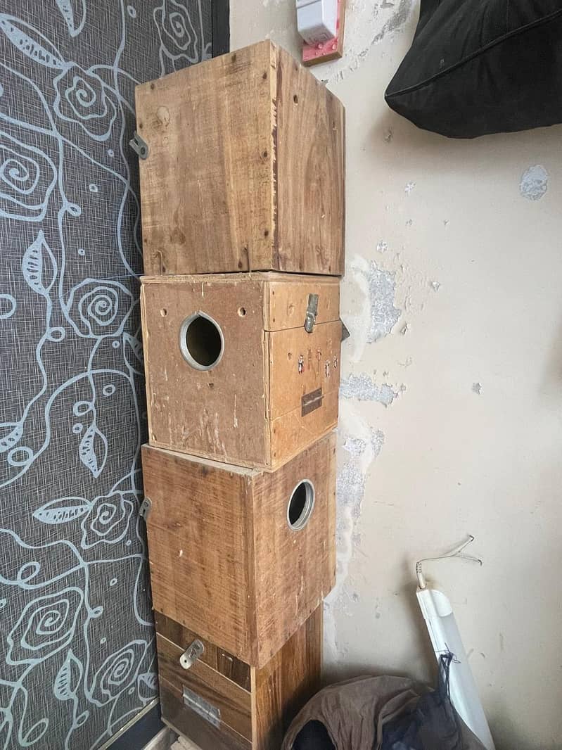 Cage and Boxes 4