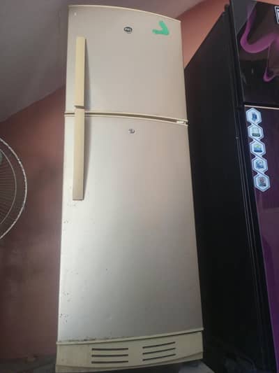 Pel (Rs. 50000)