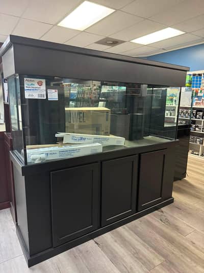 low price fish aquarium