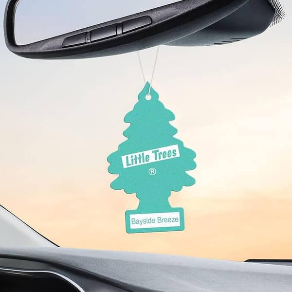 Little Trees Bayside Breeze Perfume Card – Original – Made in USA – Car Freshener
