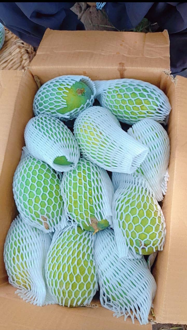 multani mango 2