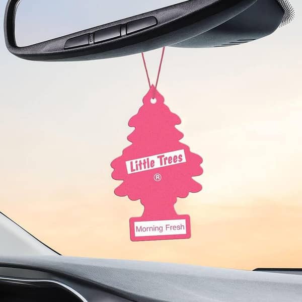 Little Trees Auto Air Freshener, Hanging Card, Morning Fresh