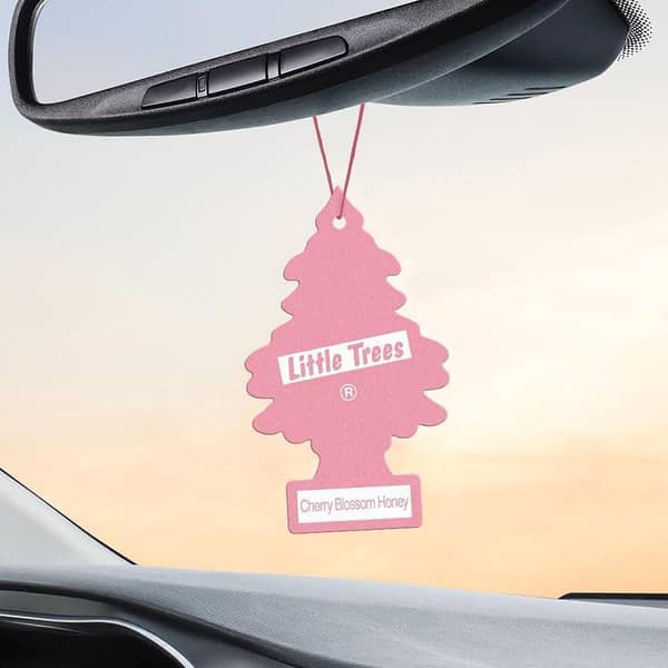 LITTLE TREES Cherry Blossom Honey car air freshener set, 24 hanging tree fragrances