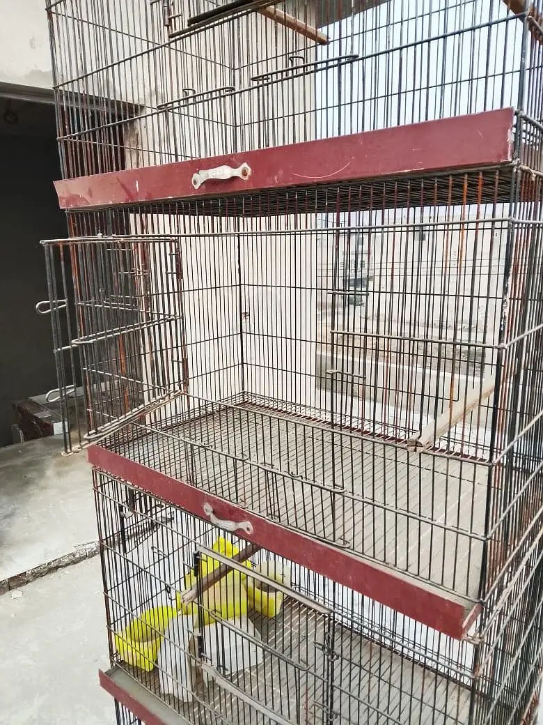 Cage for Sale — photo 2