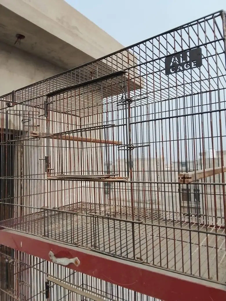 Cage for Sale — photo 3