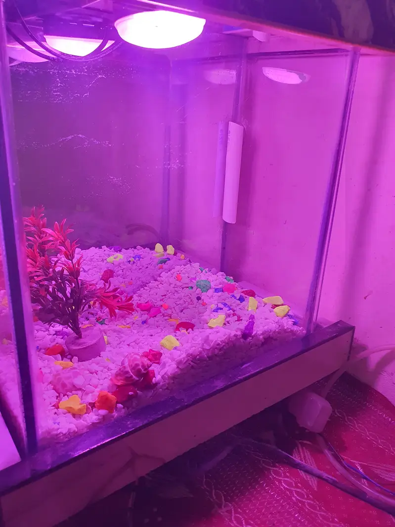 Aquarium with equipments