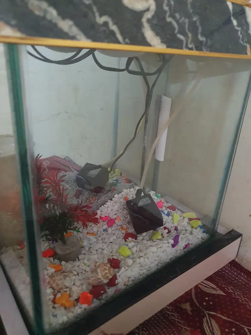 Aquarium with equipments — photo 2
