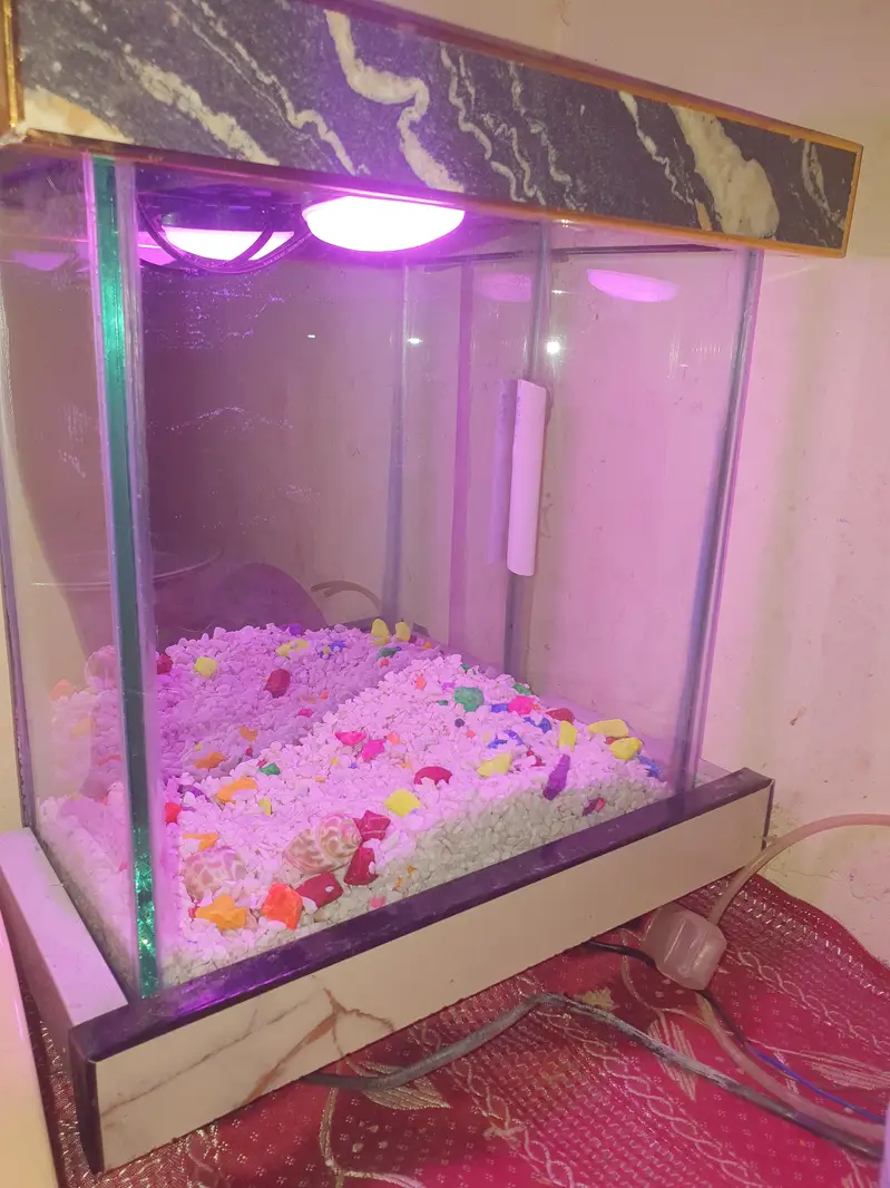 Aquarium with equipments — photo 3