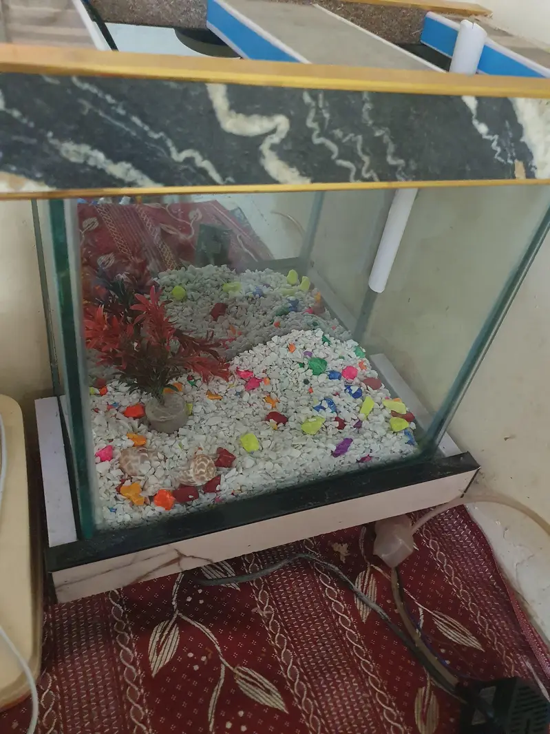Aquarium with equipments — photo 4