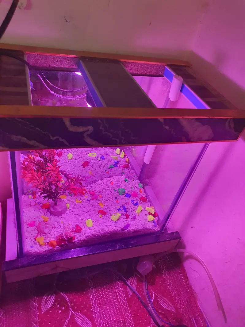 Aquarium with equipments — photo 5