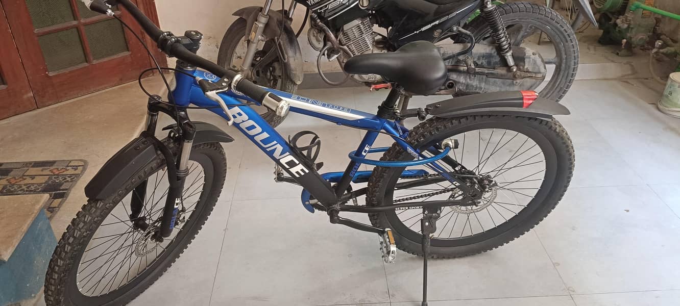 Bounce bicycle 2