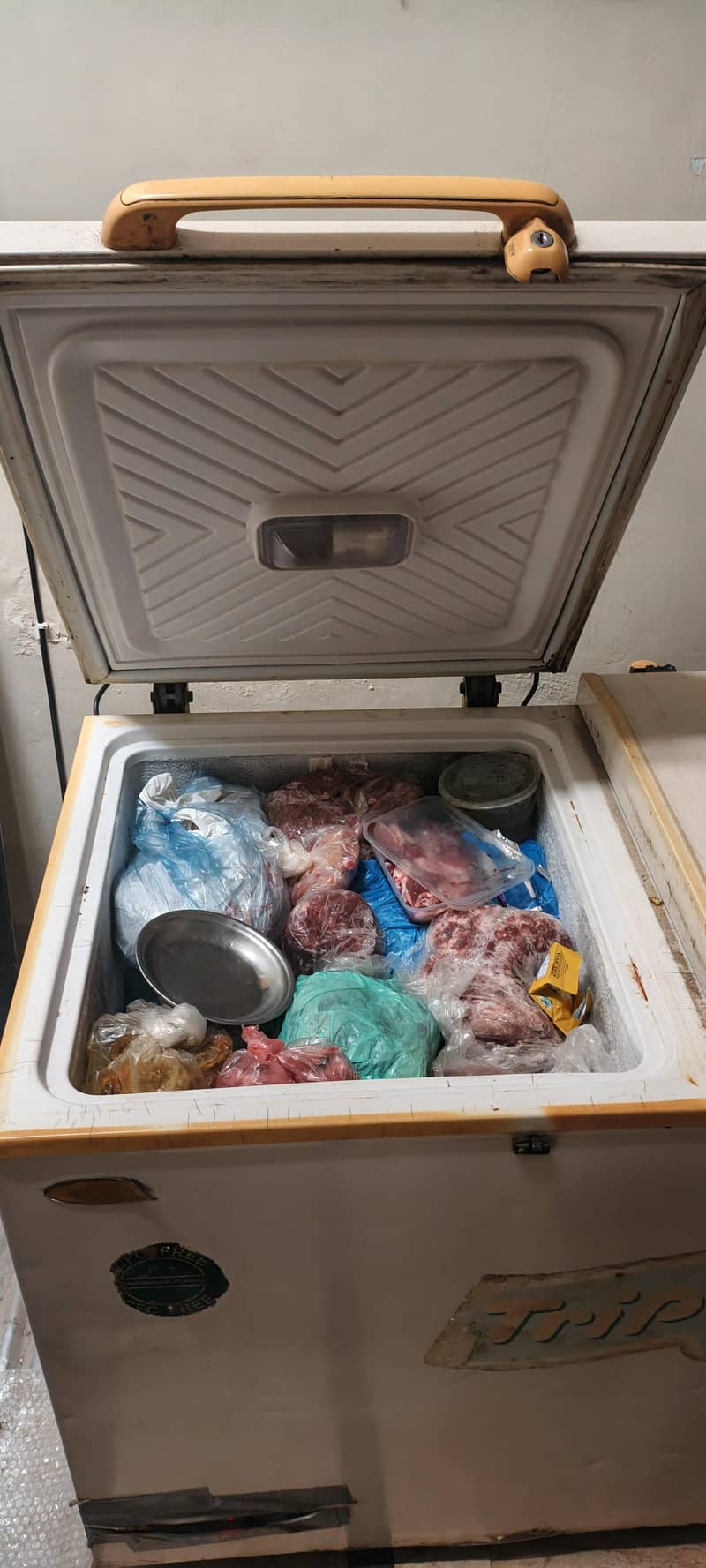 waves deep freezer 4
