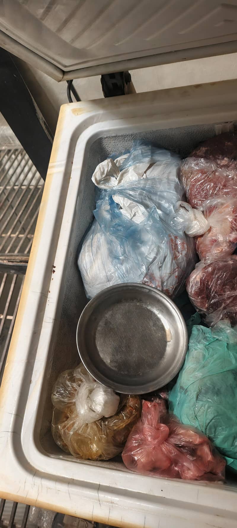 waves deep freezer 8