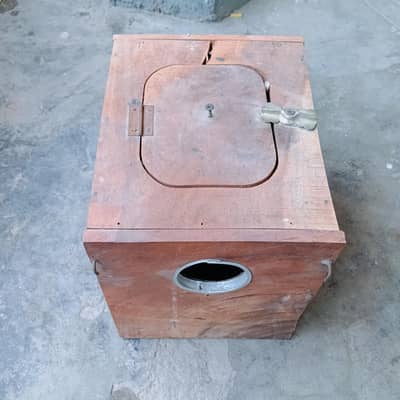 20 box love bird for sale