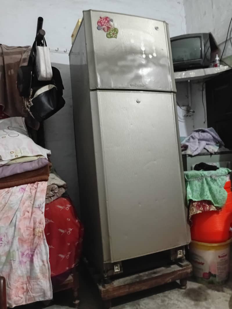 pell freezer 1