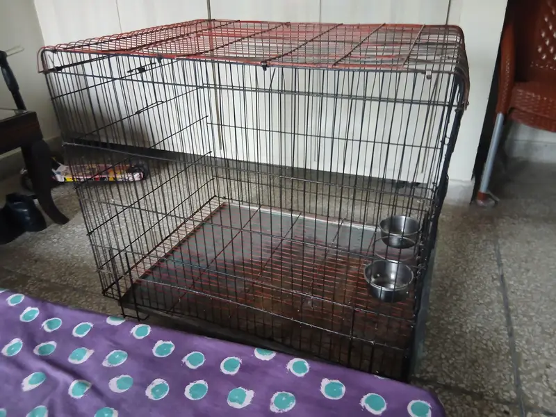 2 Cages — photo 2