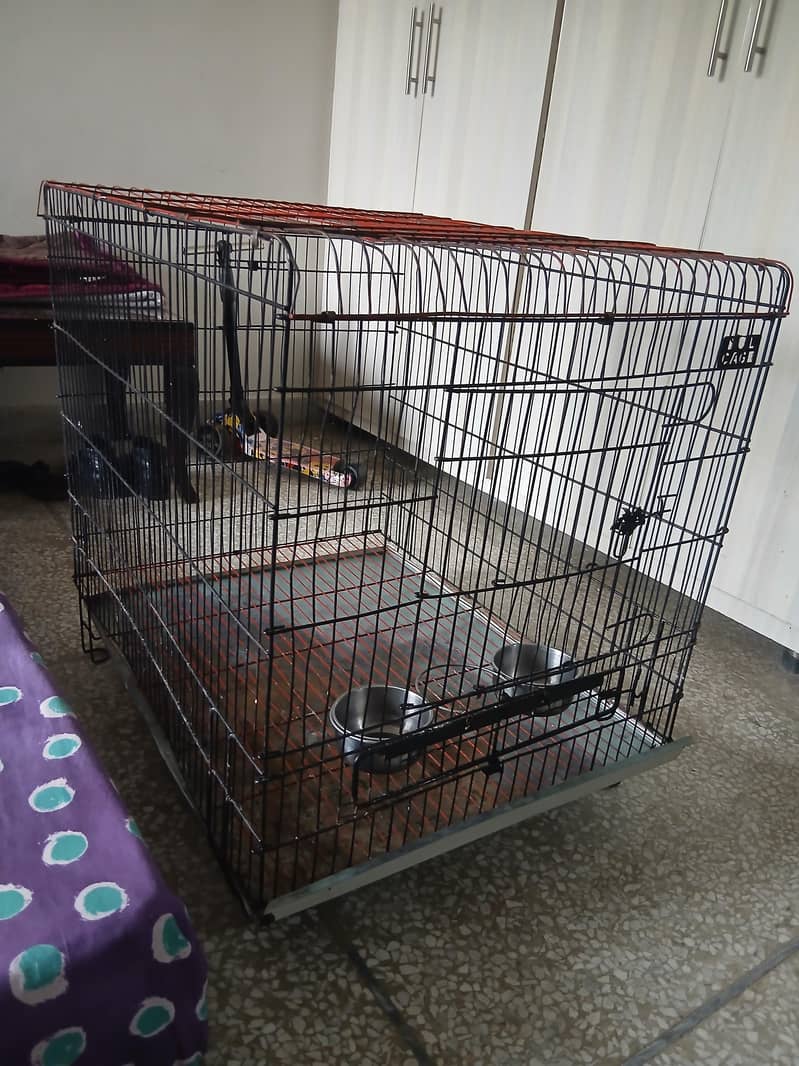 2 Cages 2