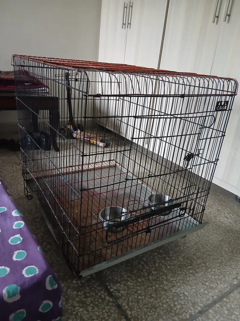 2 Cages — photo 3