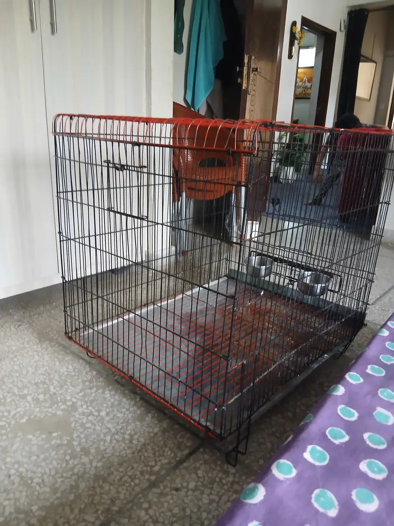 2 Cages — photo 4