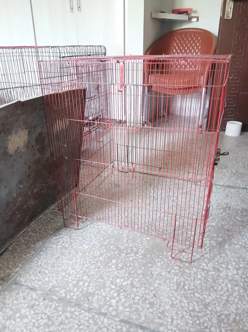 2 Cages — photo 5