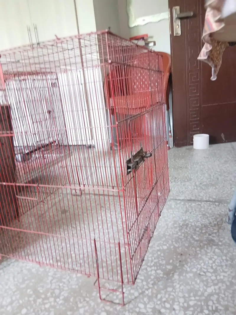 2 Cages — photo 6