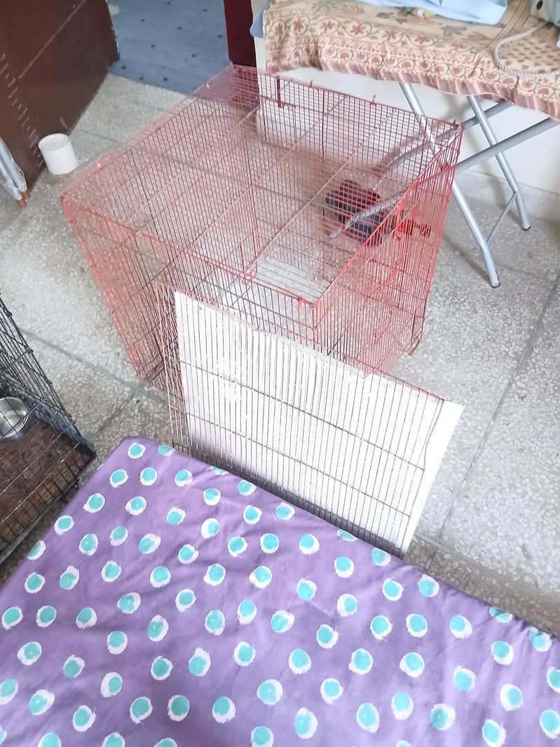 2 Cages 6