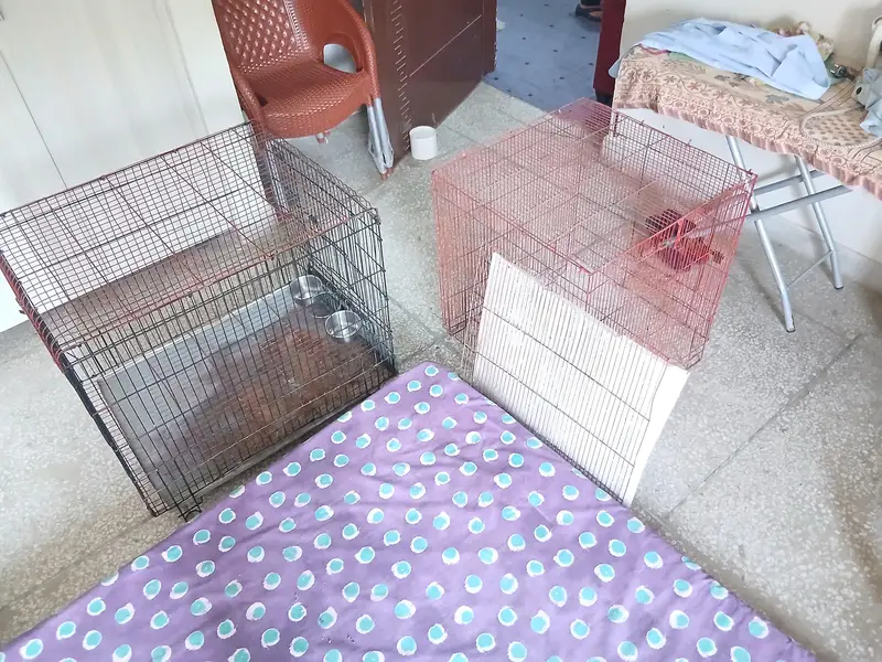 2 Cages