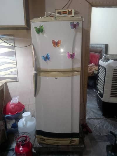 frij for sale