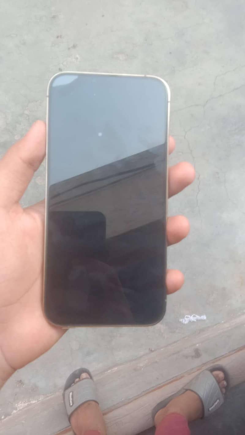 Apple iPhone 13 Pro Max 1