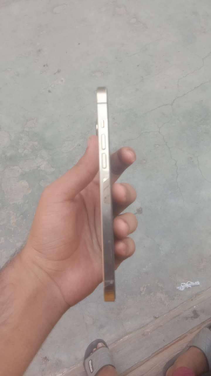 Apple iPhone 13 Pro Max 2