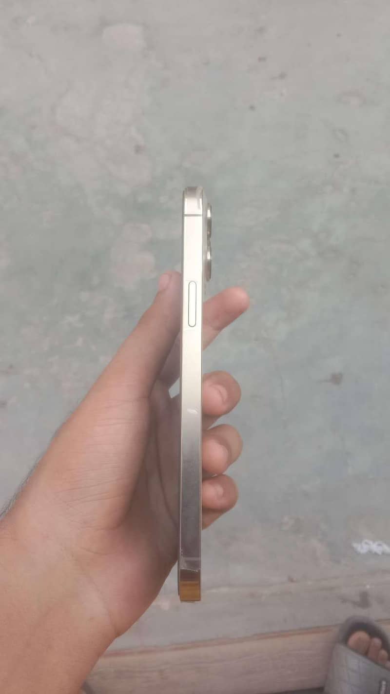 Apple iPhone 13 Pro Max 4